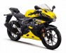 Suzuki GSX R Dual ABS 2020